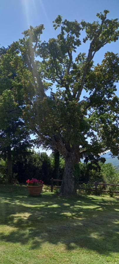 ホテル Poggio Al Sole フィエーゾレ エクステリア 写真