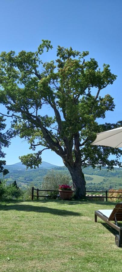 ホテル Poggio Al Sole フィエーゾレ エクステリア 写真